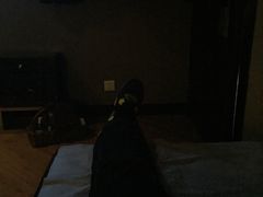 -SPA·印象足道养生(大运河度假区四望亭店)