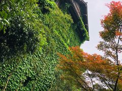 -解香楼(八盘岭路店)