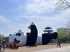 -苏州太湖国家湿地公园