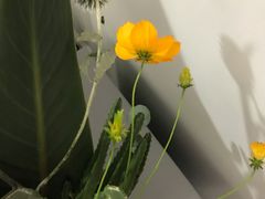 -知物癖(牛王庙店)