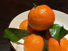 -宁波柏悦酒店·钱湖渔港