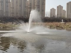 -前关湿地公园