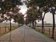 -汉长安城未央宫国家考古遗址公园