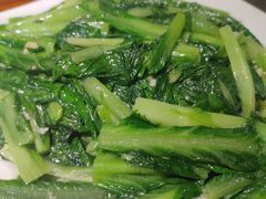 炒麦菜-优之名鹅城