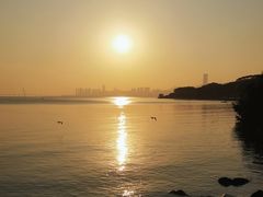 -深圳湾公园(南山区)