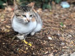 -华南国家植物园-售票处