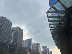 -合景·悠方(成都店)