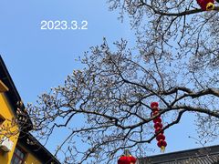 -杭州上天竺法喜讲寺