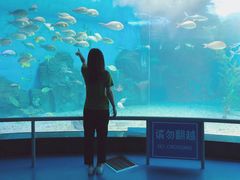-泉城欧乐堡海洋极地世界