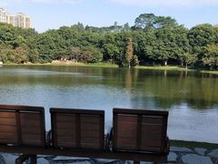 -东莞植物园