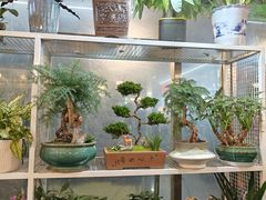 -宝鸡东道花鸟鱼虫市场(吉利花园商场店)
