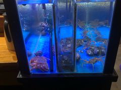 -千代武日本料理(爱建店)