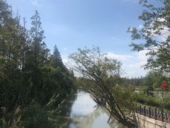 -上海长兴岛郊野公园