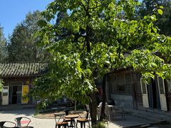 -潭柘寺景区