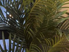 -豪客来牛排(重庆三峡广场步行街1704店)