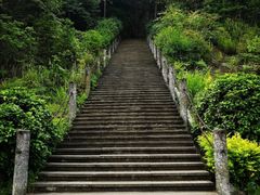 -铁山坪森林公园