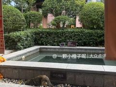 -中华郡温泉