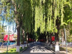 -哈尔滨文化公园