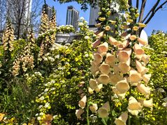 -东方体育中心(地铁站)