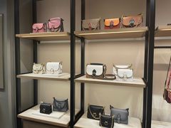 -COACH蔻驰(德基广场店)