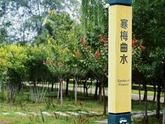 -西安浐灞国家湿地公园