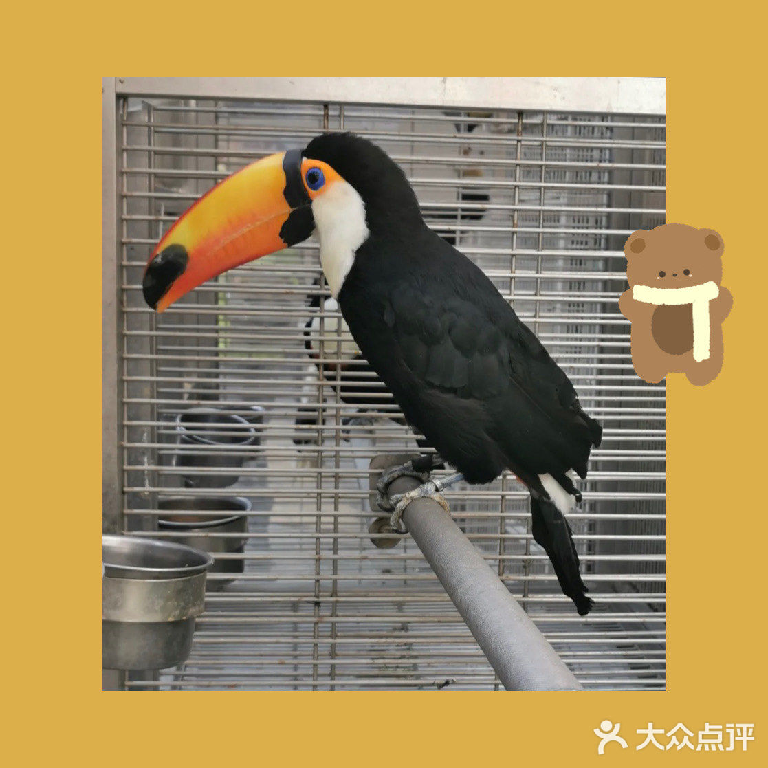 美丽世界——南宫五洲植物乐园