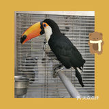 美丽世界——南宫五洲植物乐园