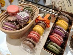 -多乐之日(五道口店)