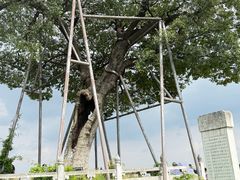 -观潮胜地公园