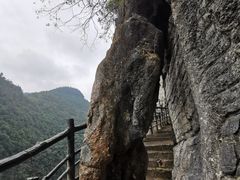 -蝶舞清江·恩施地心谷景区