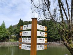 -玉苍山国家森林公园