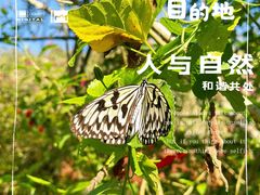 -野象谷景区