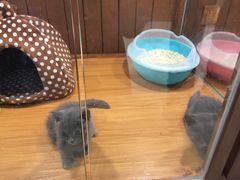 -龟与熊猫宠物公园(南坪店)