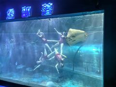 -邯郸海洋世界