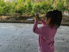 -人民公园(罗湖区)