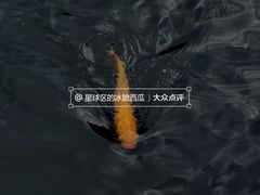 -九龙公园