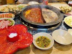 -蜀大侠火锅(春熙路店)