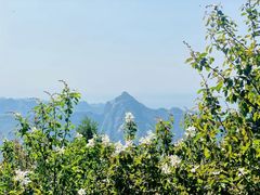 -少华山国家森林公园