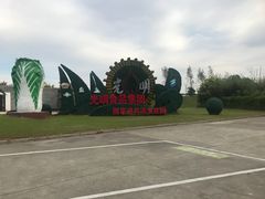 -上海都市菜园