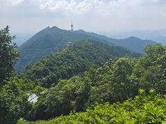 -梧桐山风景名胜区