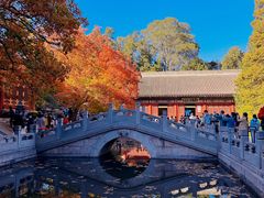 -香山公园