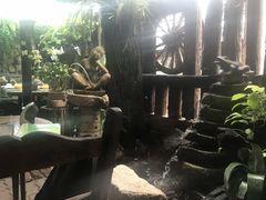 -自然餐厅(Phuket)