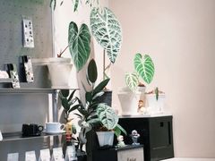 -Dogi&kiki Coffee(中心商务大厦店)