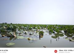 -白洋淀景区