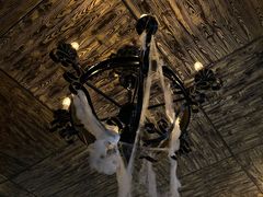 -雪灵魔法世界SHELLY’S TAROT(大良桂畔里店)