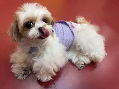 -和它·交个朋友·狗咖猫咖(爱琴海店)