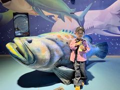 -烟台海昌鲸鲨海洋公园