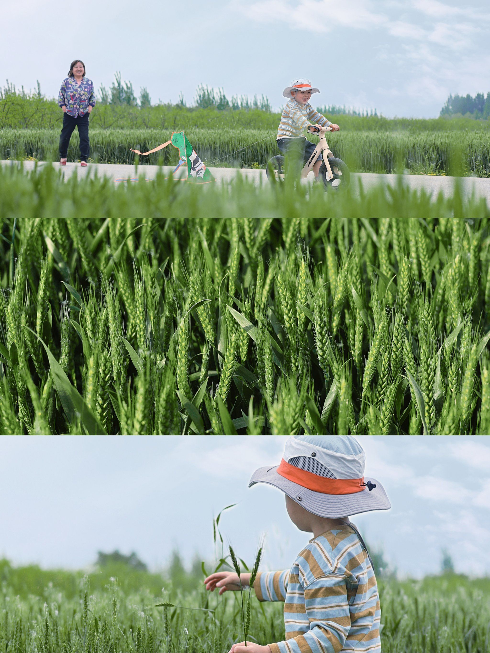 五一老家遛娃,和孩子一起回归童年与麦田