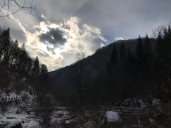 -望天鹅景区