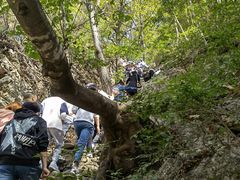 -大连天门山国家森林公园